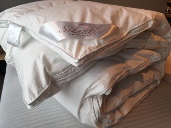 Silently dekbed 90% ganzendons