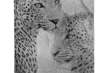 Zo Home! Fleece Plaid Simons